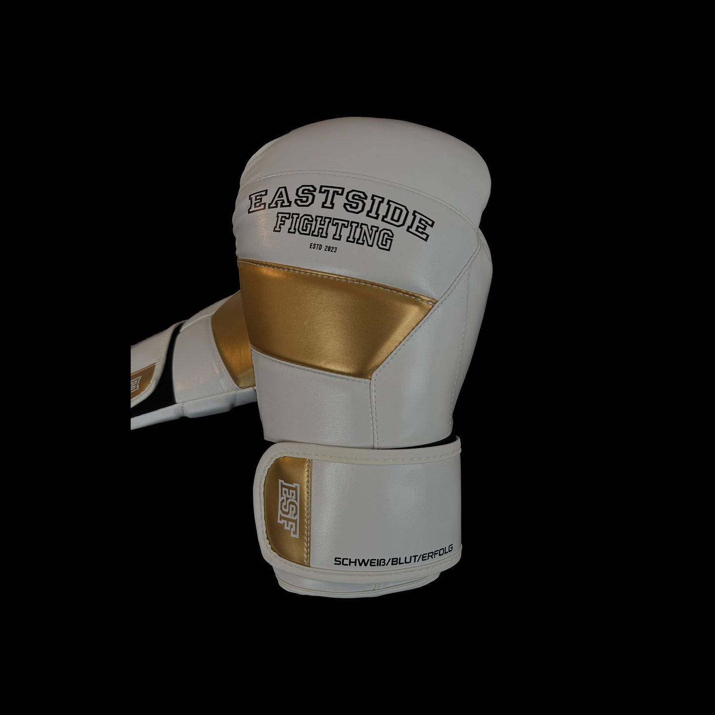 ESF - Boxhandschuhe 16 OZ