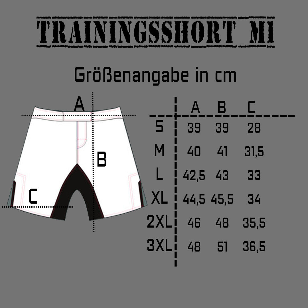 Trainingsshort M1